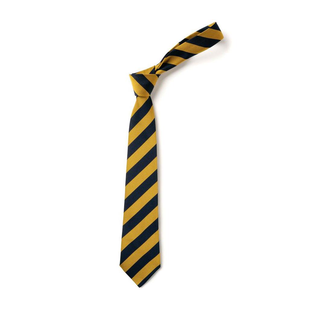 Wide Stripe Tie Navy/Gold