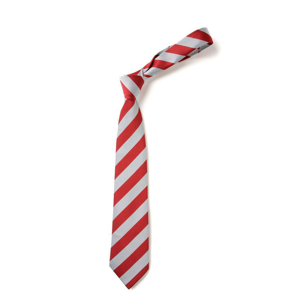 East Plean Primary Tie