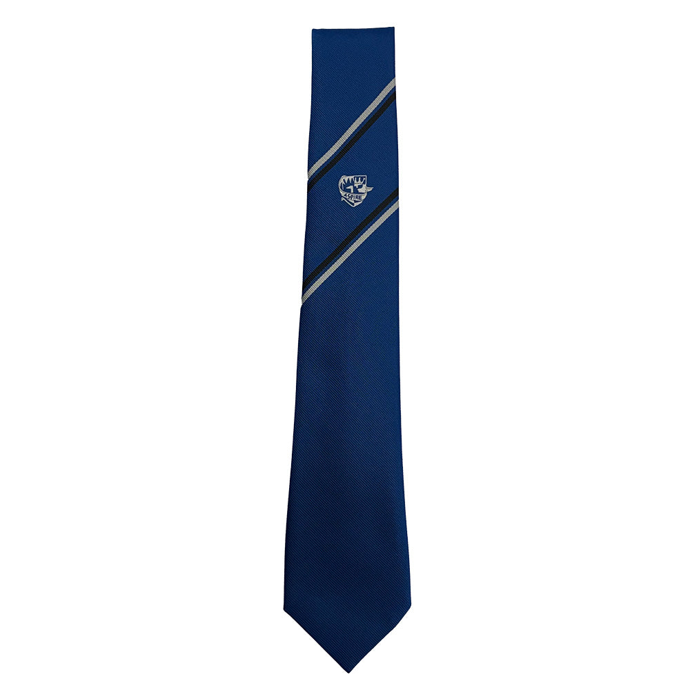 Bannockburn High Senior Crested Tie (S6)