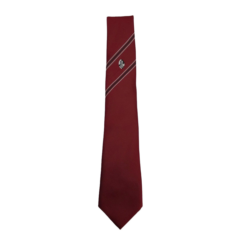Castlemilk High Junior Tie