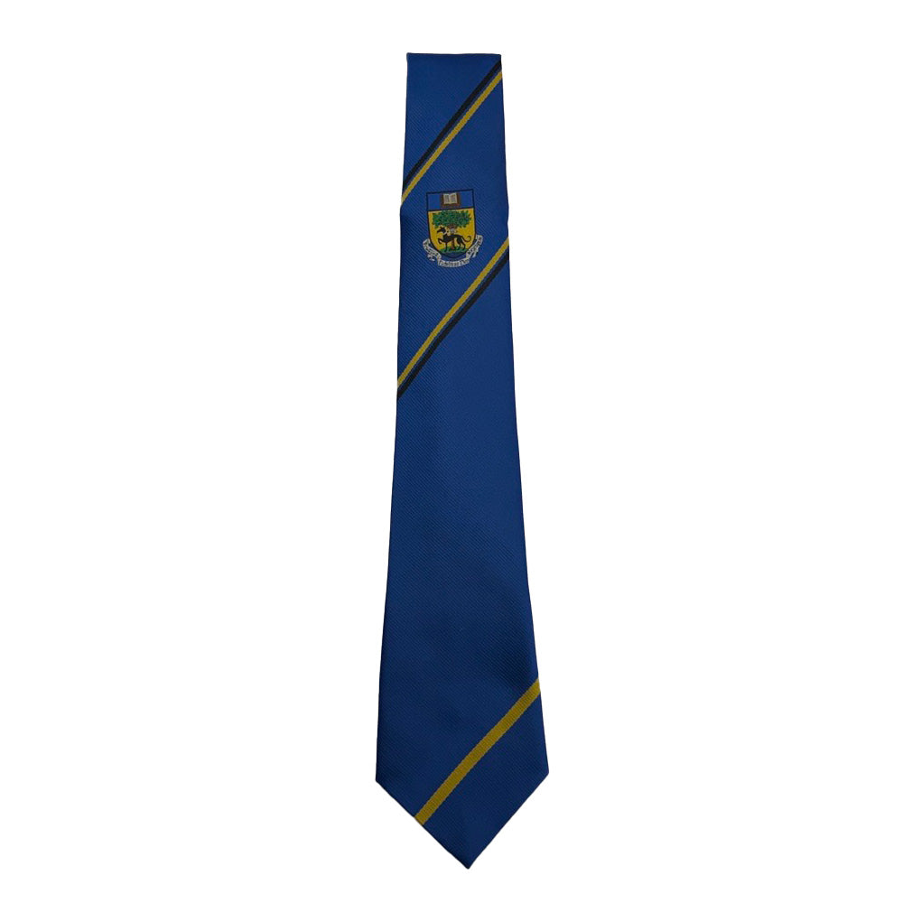 Linlithgow Academy Tie Gold (S4-6)