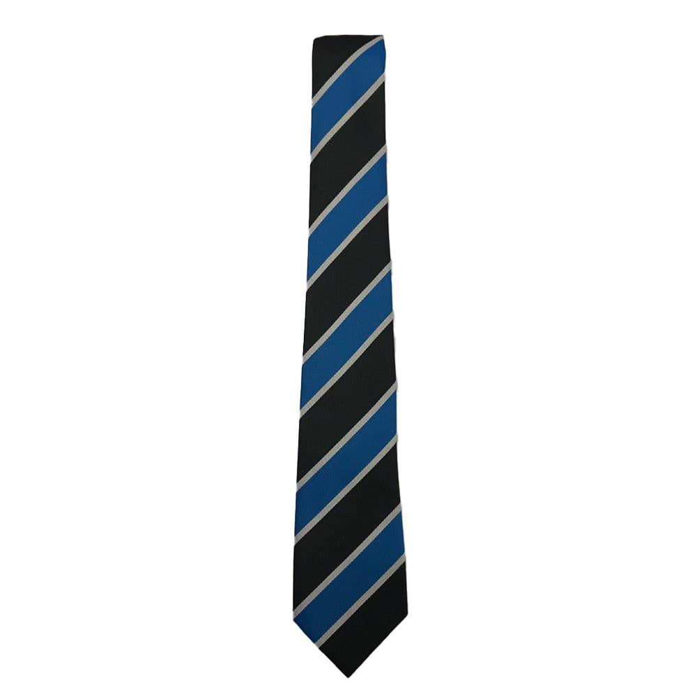 Bishopbriggs Academy Junior Tie