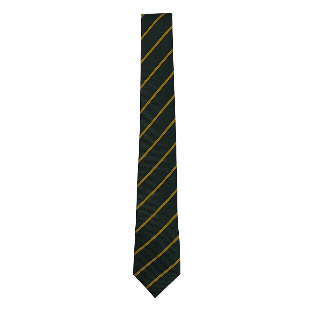 St Patricks Primary Denny Tie