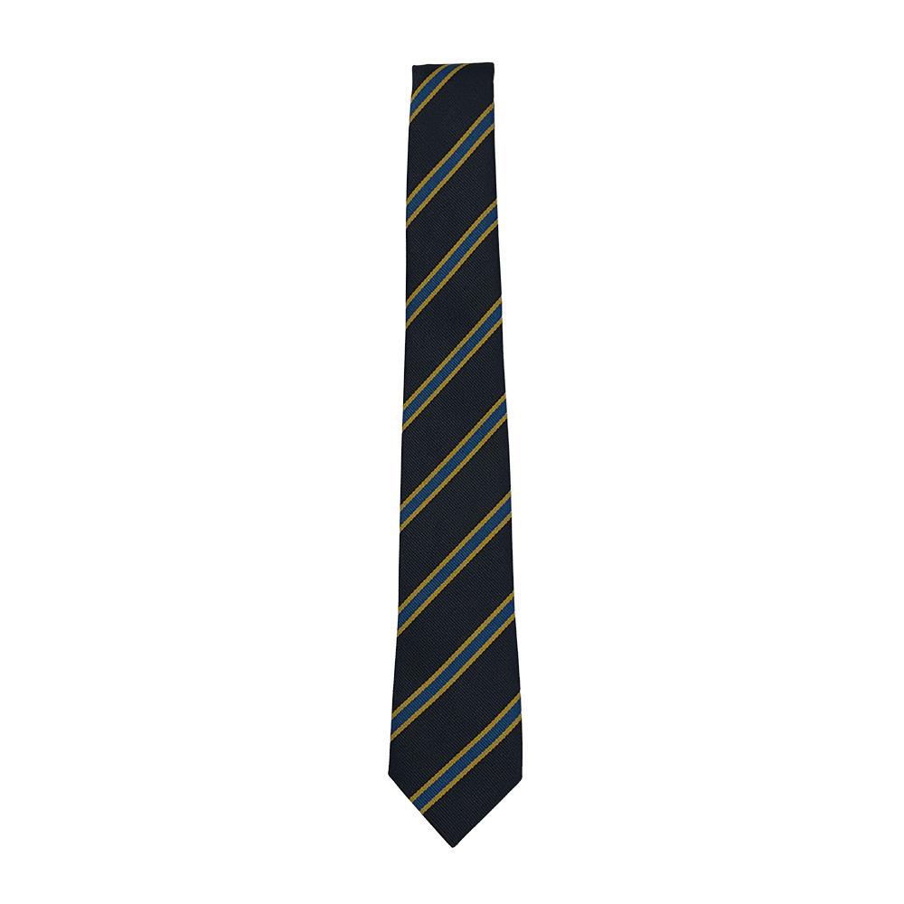 St Marys Primary Hamilton Tie