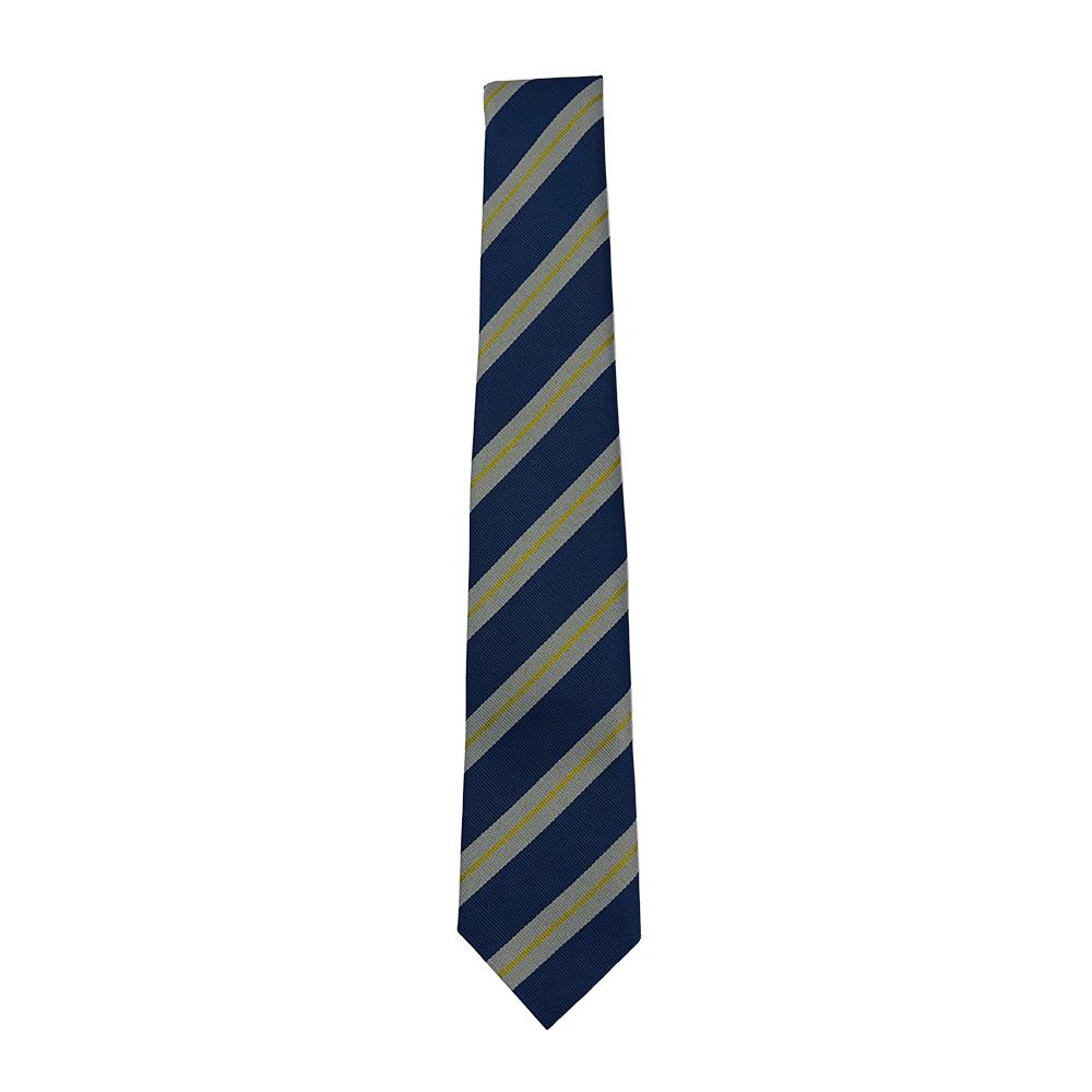 Lourdes Secondary Junior Tie