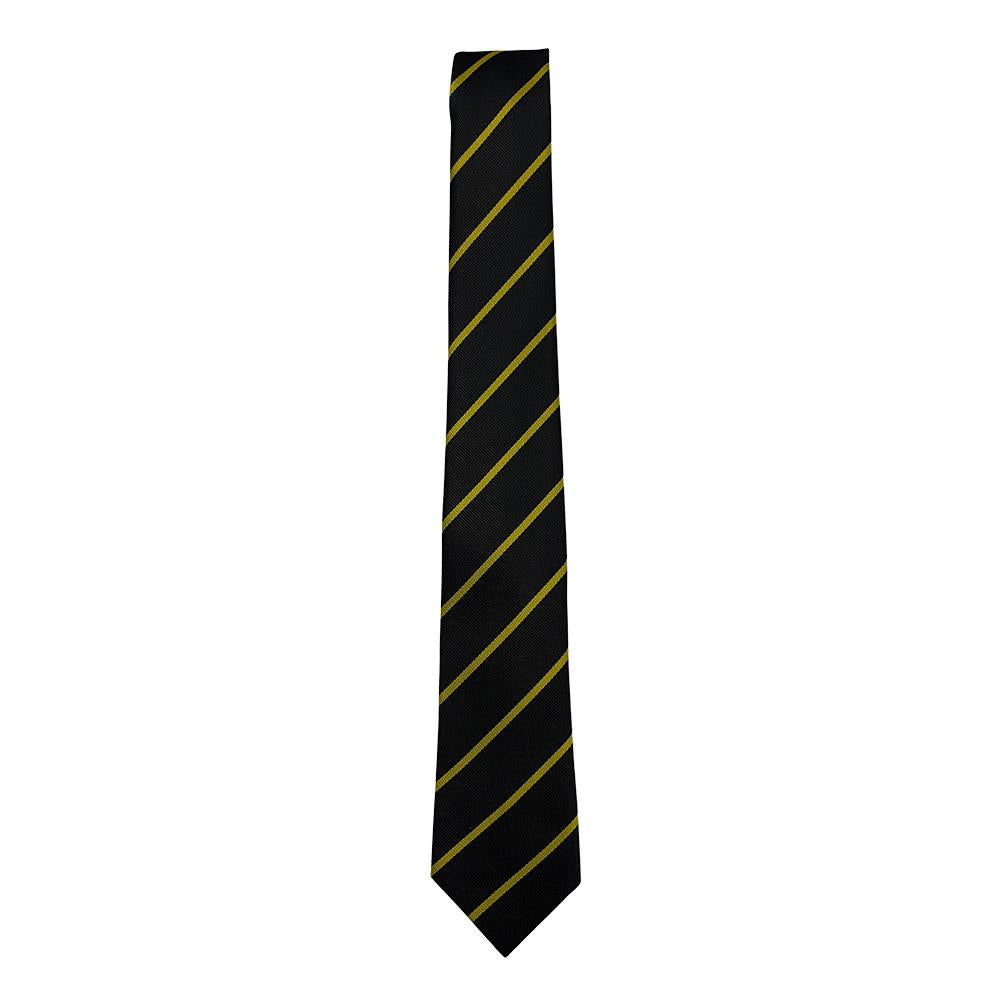 Dunfermline High Junior Tie
