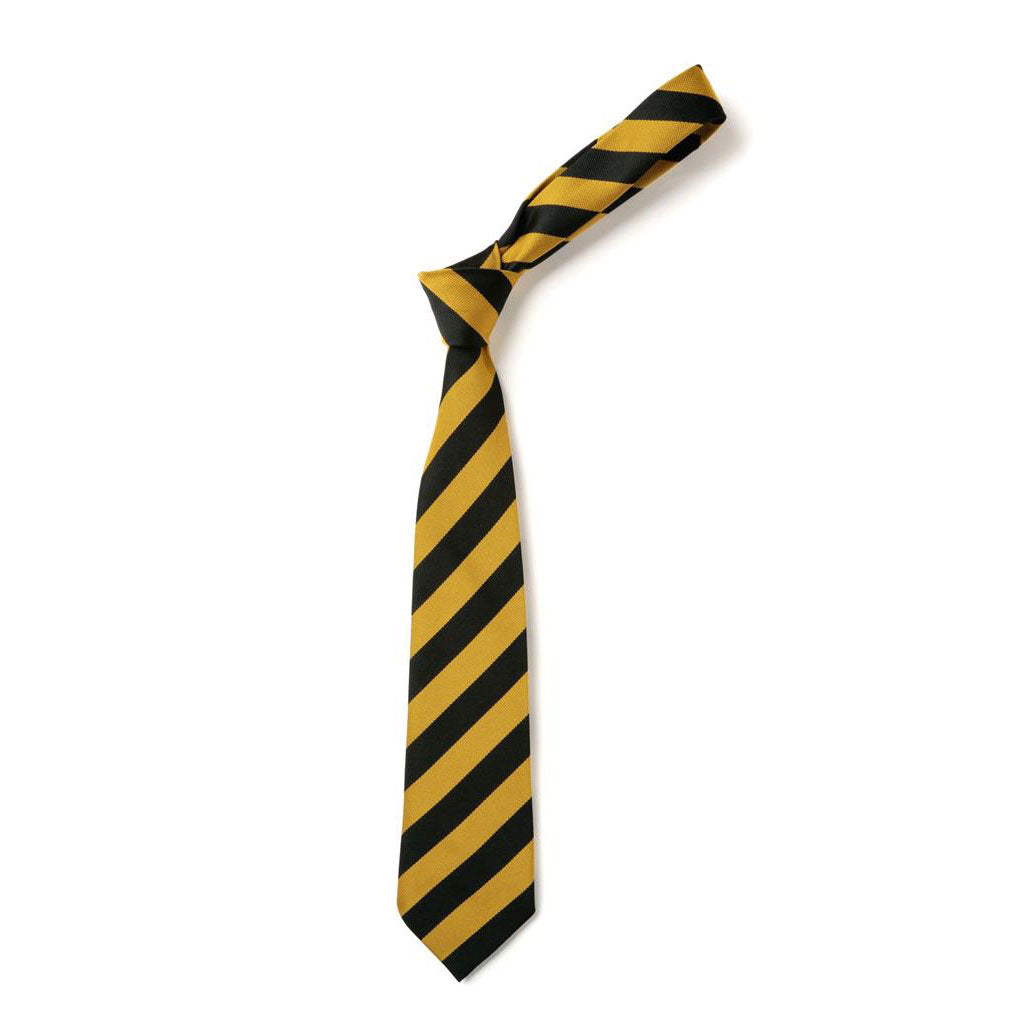 St Benedicts Primary Tie