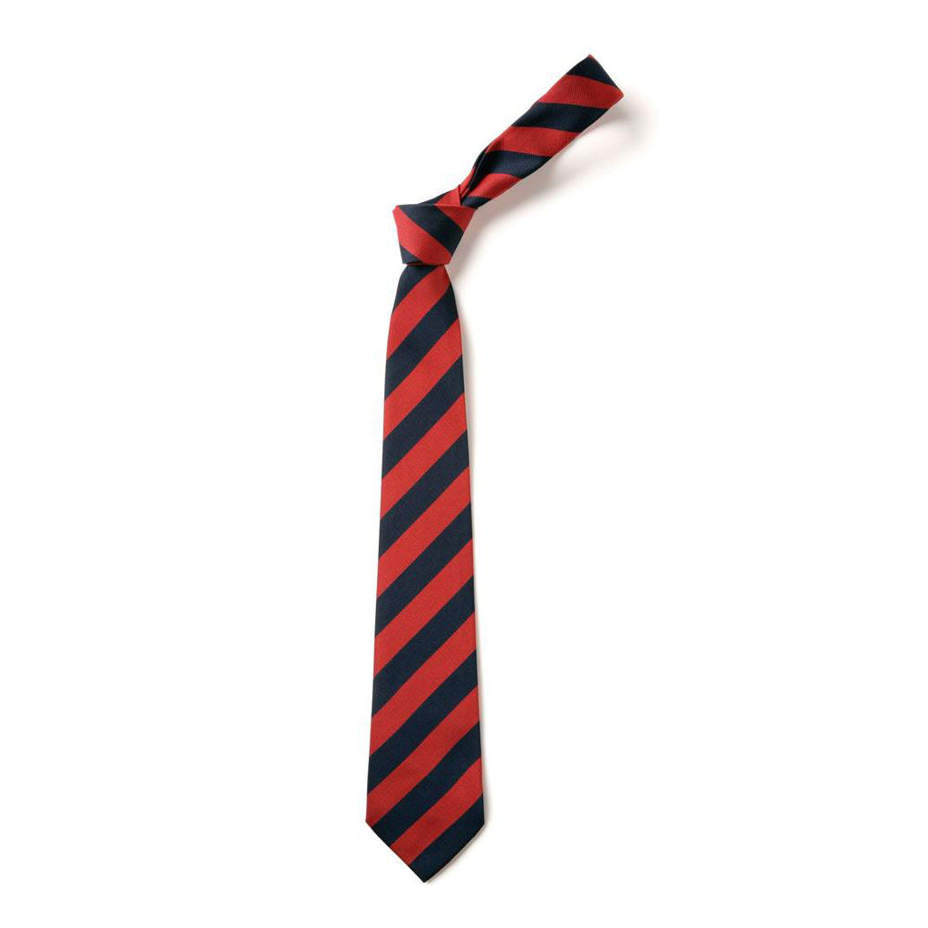 Neilsland Primary Tie
