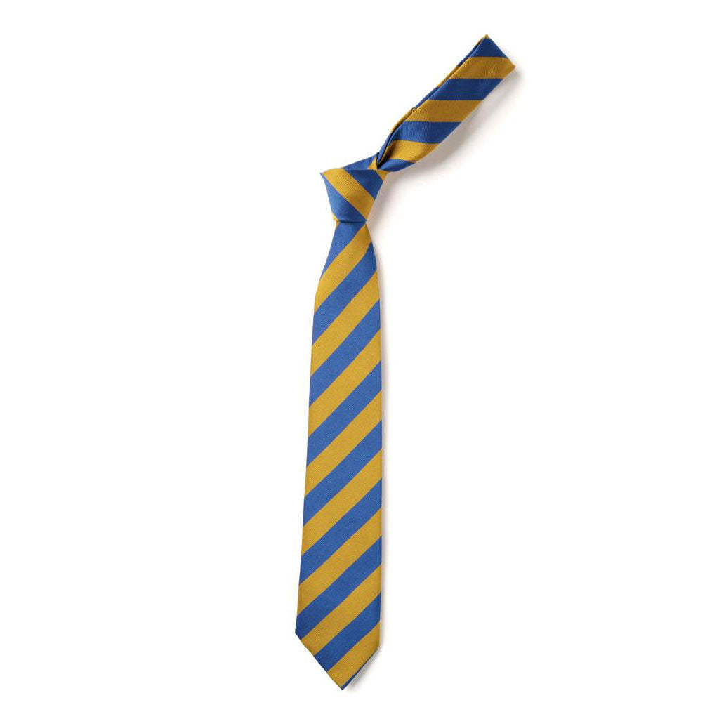 Blackridge Primary Tie