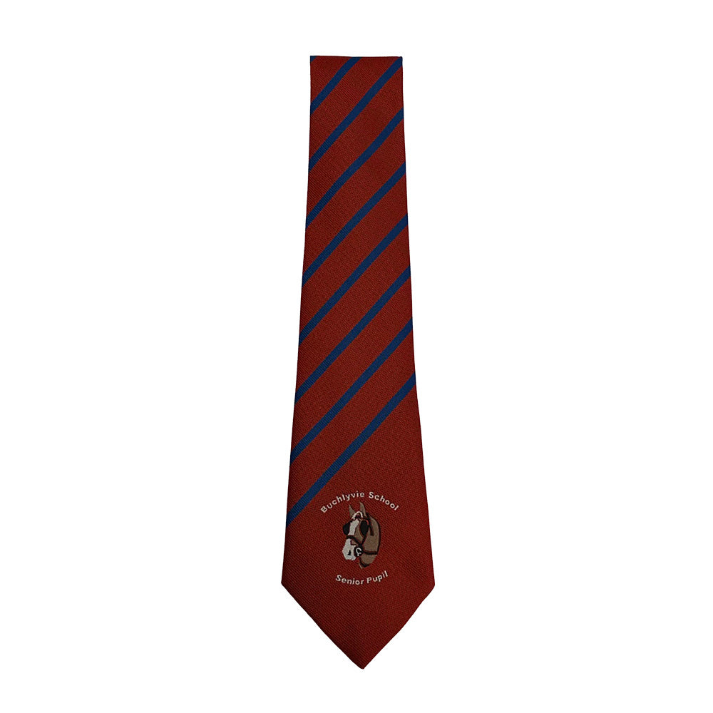 Buchlyvie Primary Senior Tie