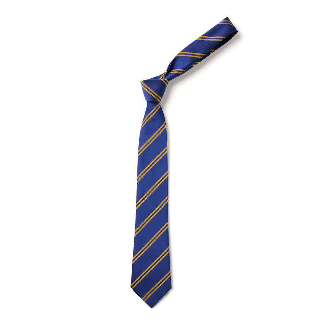 Stenhousemuir Primary Tie