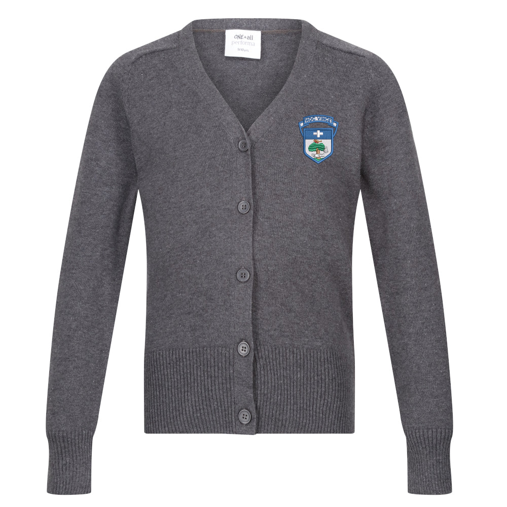 Holyrood Secondary Girls Cotton Cardigan Grey