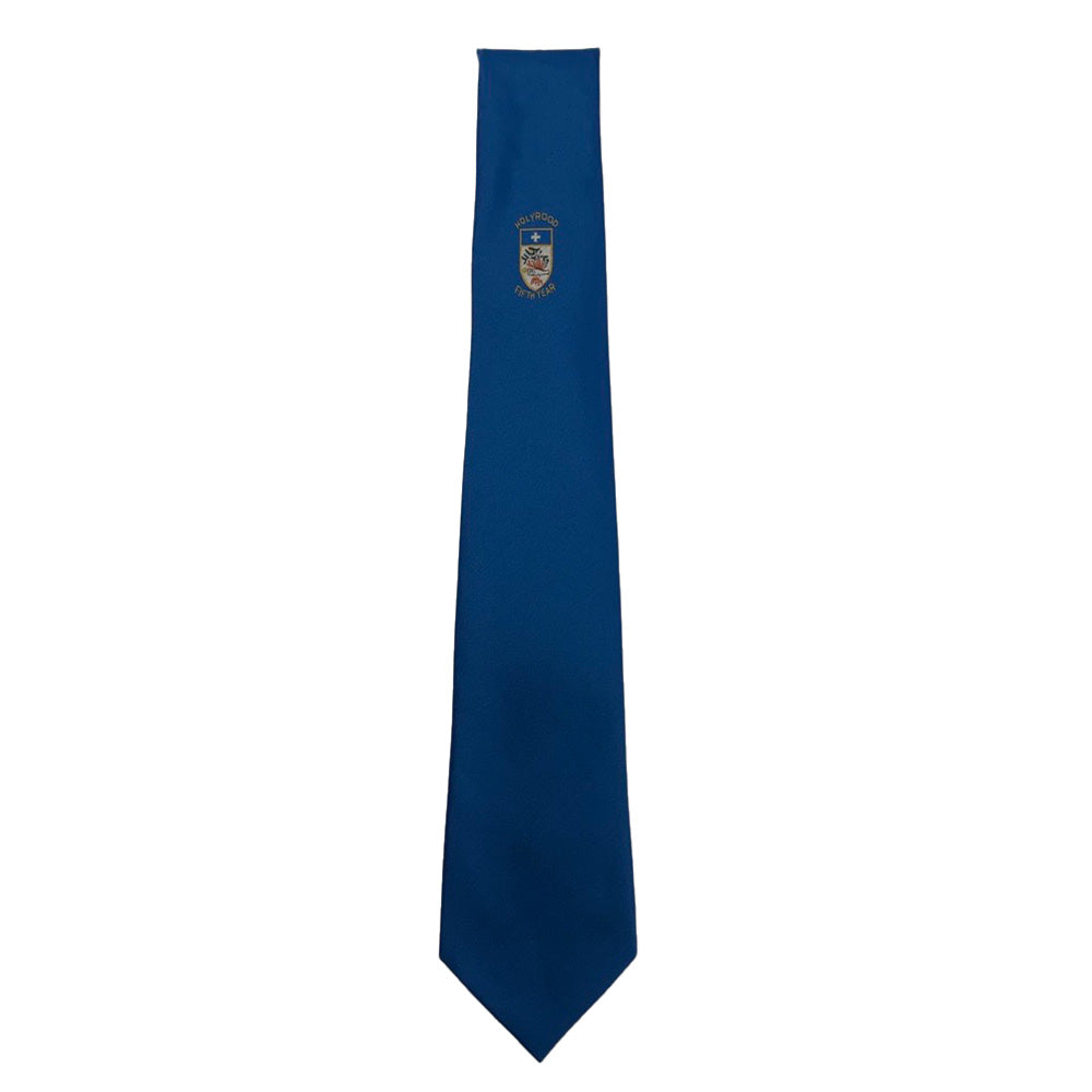 Holyrood Secondary Tie (S5)