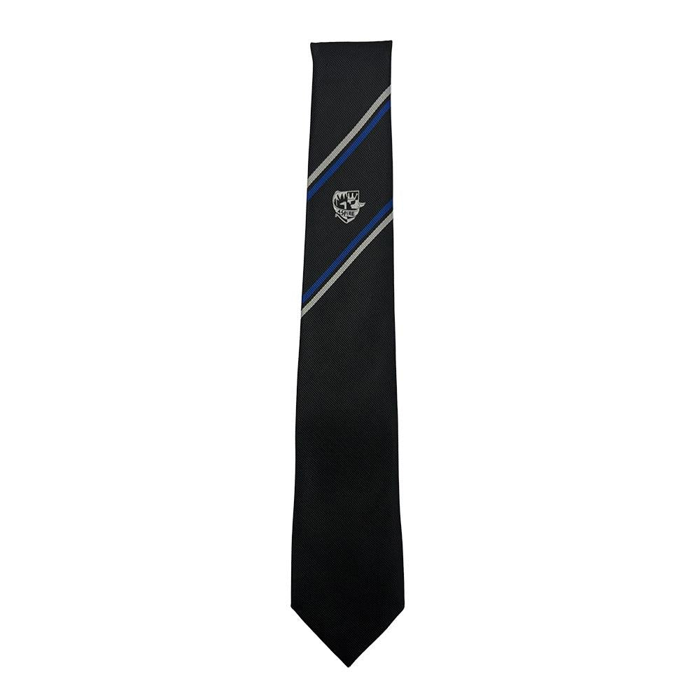 Bannockburn High Jaquard Tie (S4-S5)
